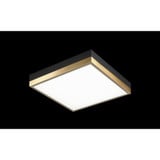 2498_M11411 | Main Product Image