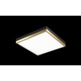 2498_M11414 | Main Product Image