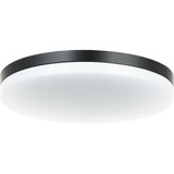 2498_M12002 | Main Product Image