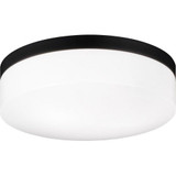 2498_M13002 | Main Product Image