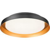2498_M15601 | Main Product Image