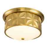 2529_FM1300 | Main Product Image