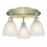 517_516-3C-G38 | Main Product Image