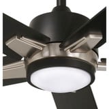 F619L-CL/BN | detail