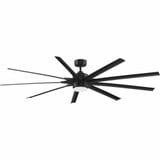 103_FPD8159 | Main Product Image