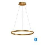 E22724-GLD | 