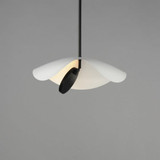 E24964-WTBK | detail