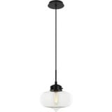 2498_C41403 | Main Product Image