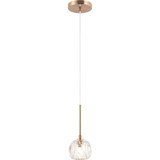 2498_C61411 | Main Product Image