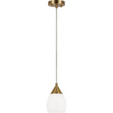 2498_C74001 | Main Product Image