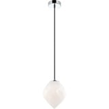 2498_C78001 | Main Product Image