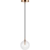 2498_C81801 | Main Product Image
