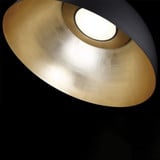 PD-55735-GL | detail