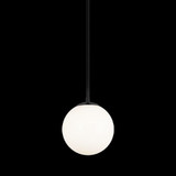 C81711BKOP | 