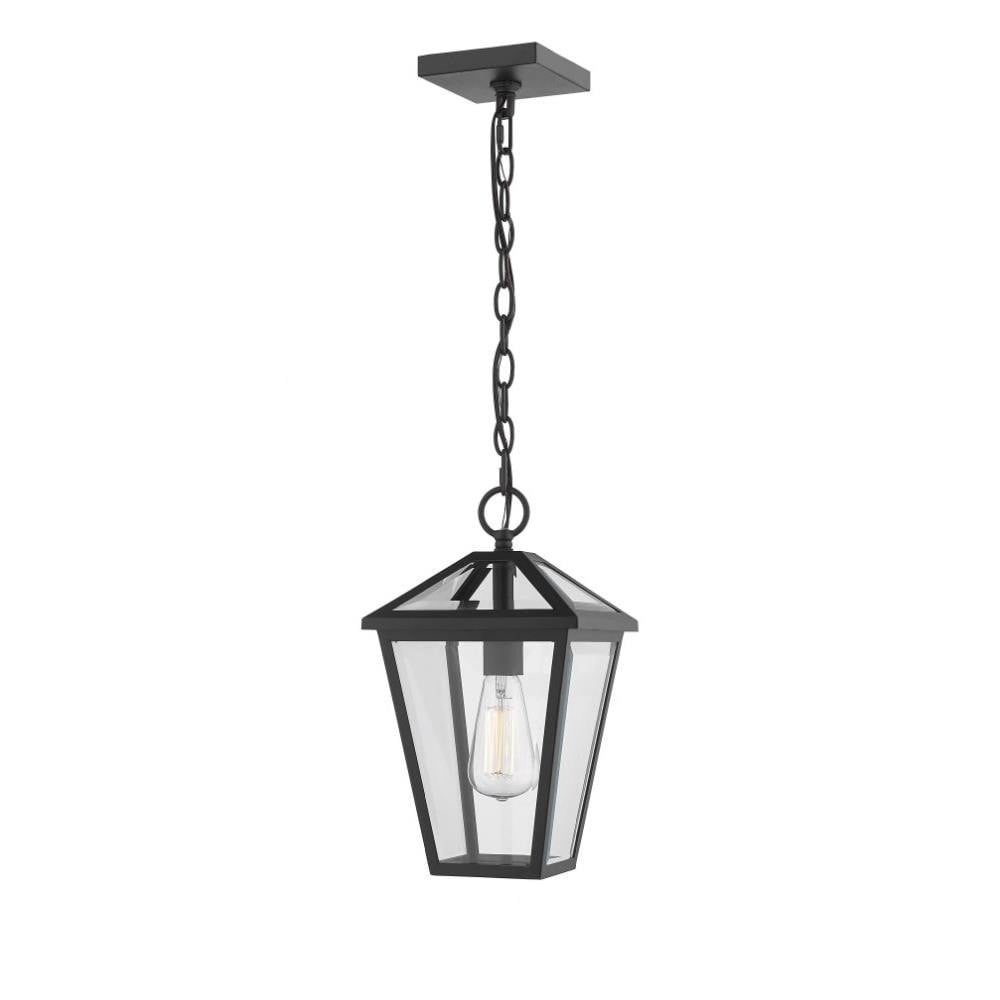 Talbot 1 Light Small Outdoor Pendant by Z-Lite - 579CHM