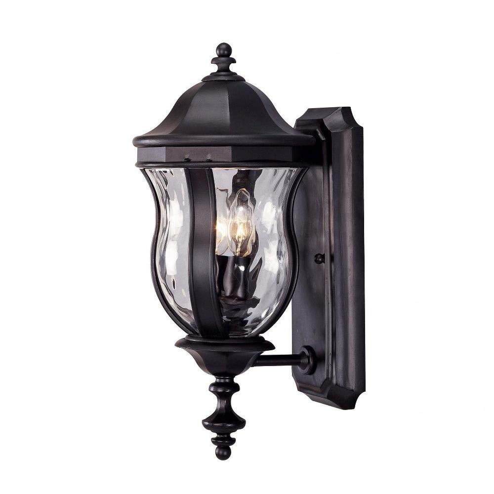 Aylesbury Field 2 Light Outdoor Wall Lantern by Bailey Street Home - 159-BEL-675340