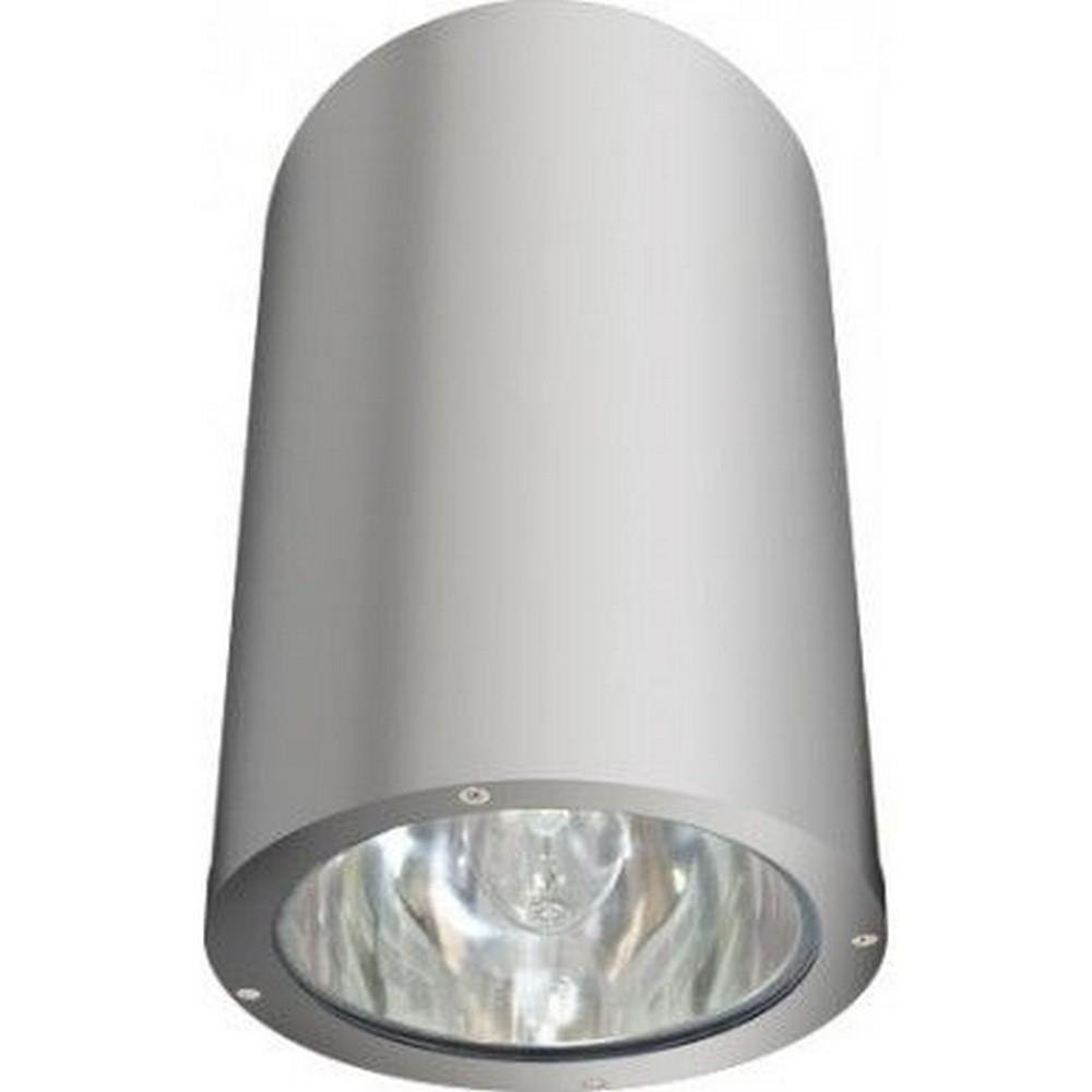 One Light Outdoor Flush Mount by Dabmar DW3760