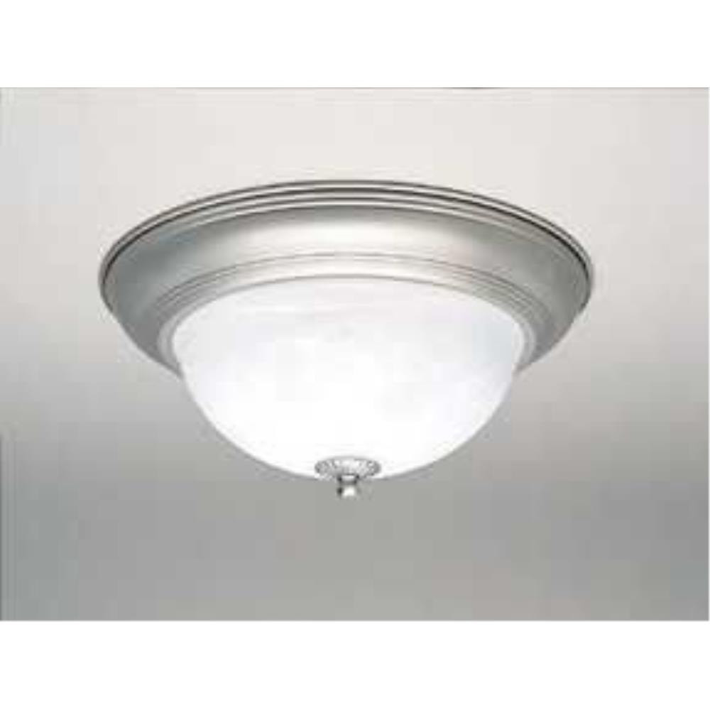 2 Light 14 Inch Wide Flush Mount by Forte - 2129-02