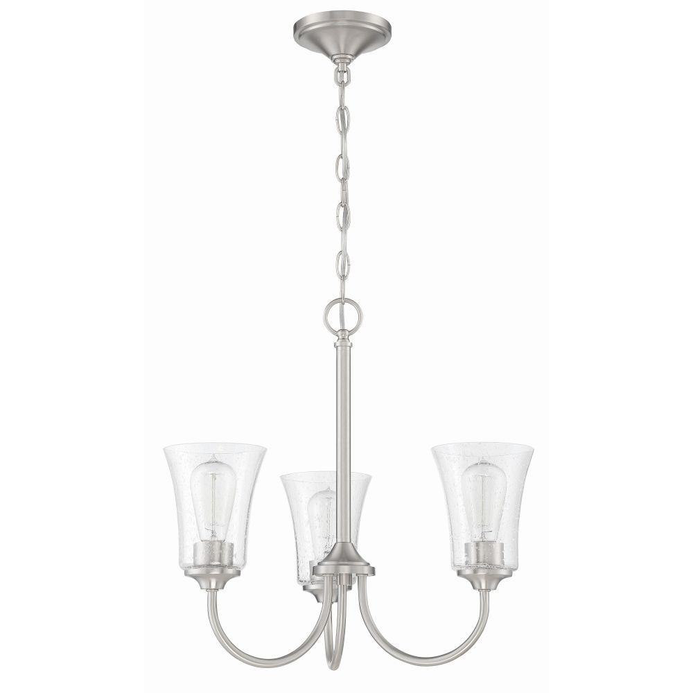 Carr Orchard - Three Light Chandelier in Traditional Style - 20 inches wide by 18.5 inches high - 139-BEL-3827708