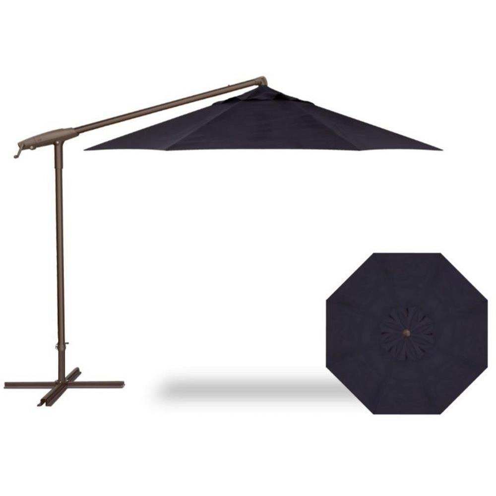 10 Foot Aluminum Crank Lift Octagon Cantilever Umbrella by Treasure Garden - AG19A