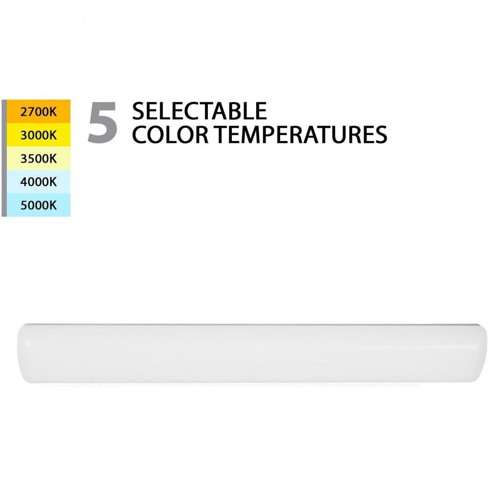 WS-248-CS-WT | 