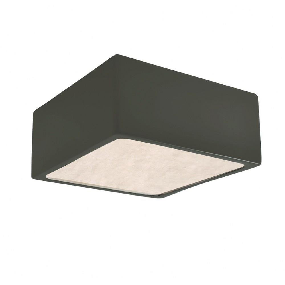 CER-6295-PWGN | 