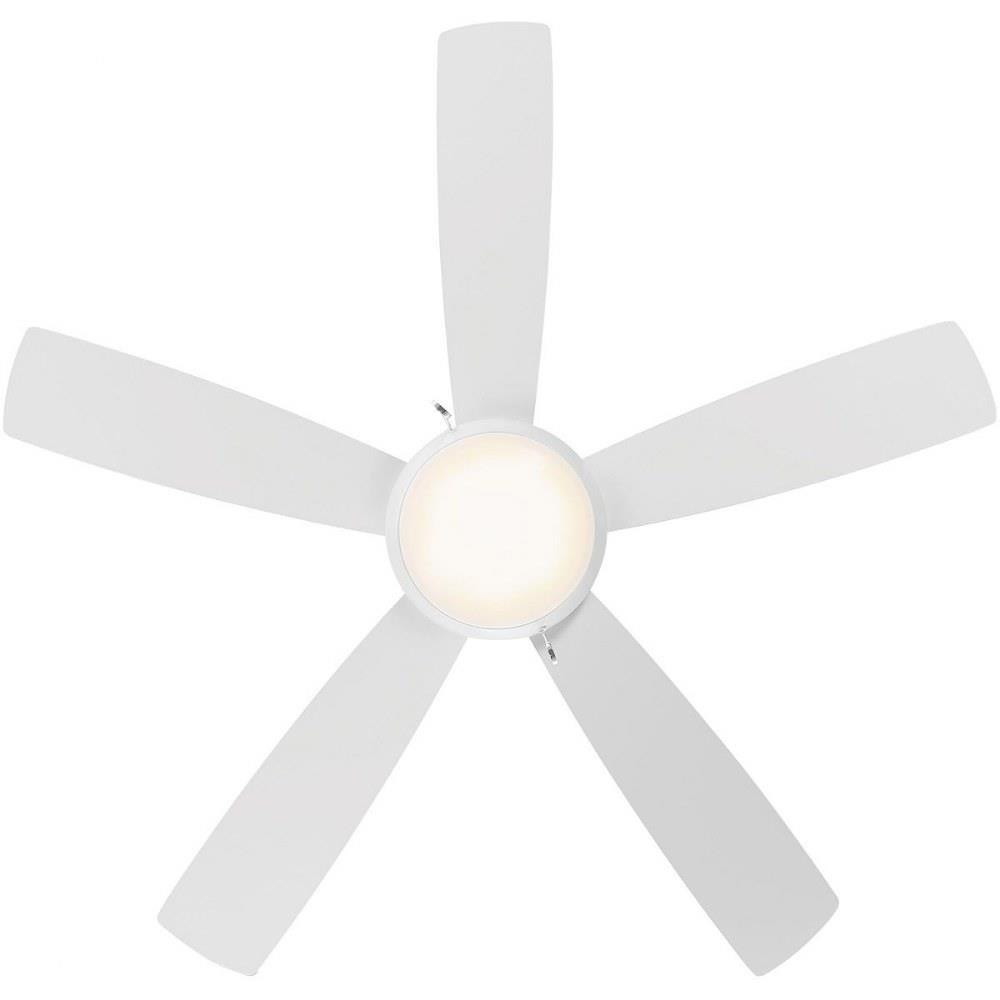 F-033L-MB | angle
