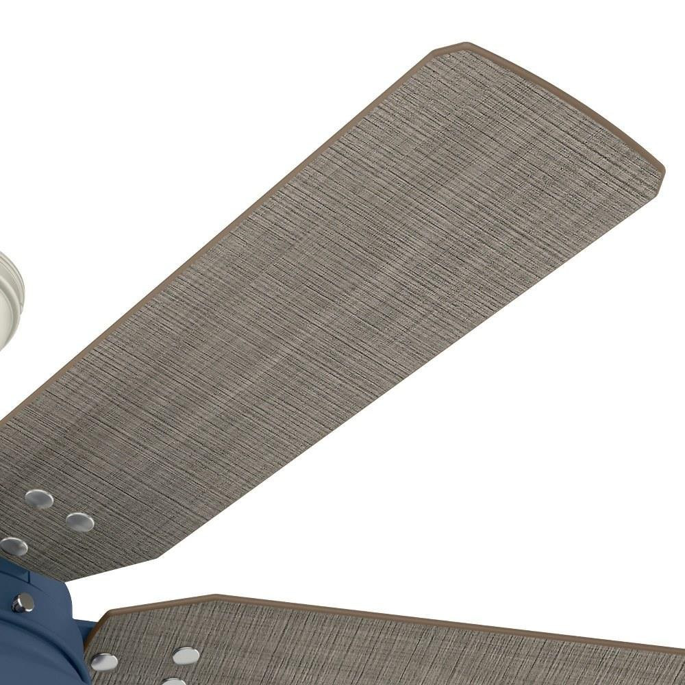 50252 | detail
