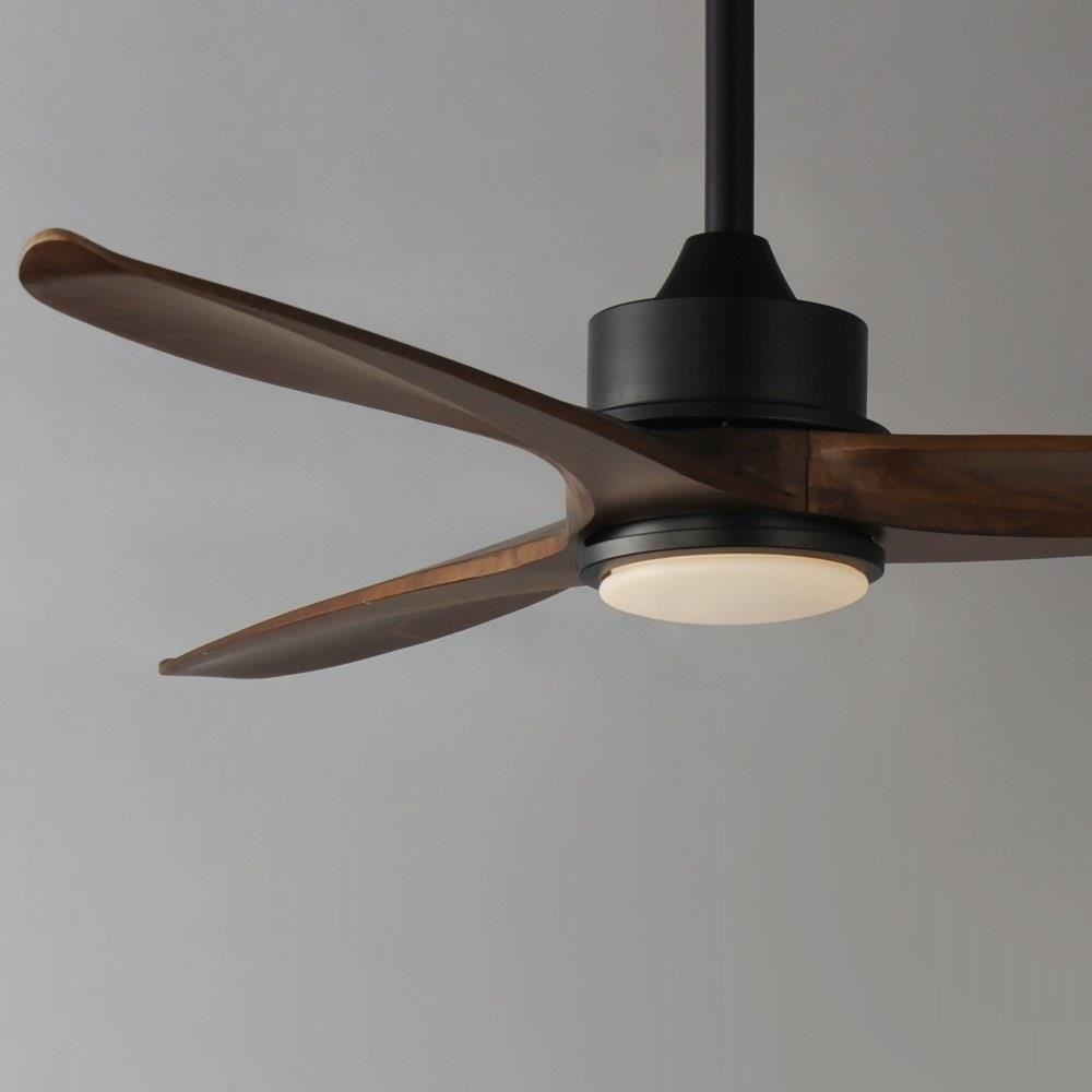 88831BK | detail