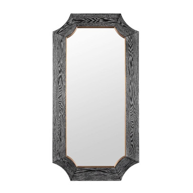 Farra Wall Mirror 54 Inch Tall and 28 Inch Wide By Varaluz - 449MI28