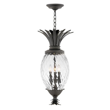 Plantation 4 Light Medium Outdoor Pendant by Hinkley - 2122