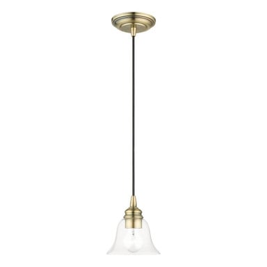 Roy King Gardens 1 Light Small Pendant by Bailey Street Home - 218-BEL-1220156