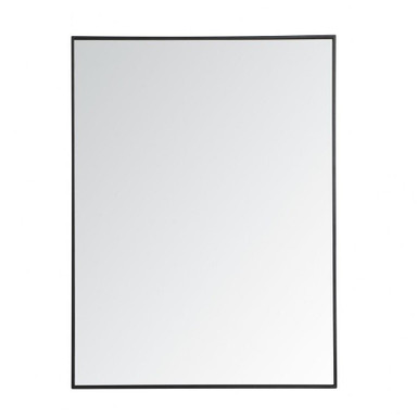 Windermere Mount 48 Inch Rectangular Mirror by Bailey Street Home - 779-BEL-1302014