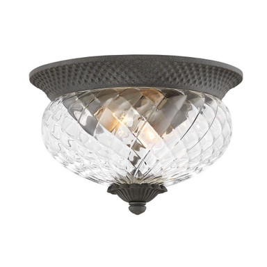 Meadows Garth 2 Light Outdoor Flush Mount by Bailey Street Home - 81-BEL-2999309