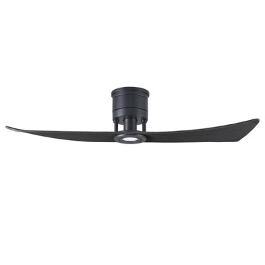 Balfour Wharf 2 Blade Ceiling Fan with Light Ki 52 Inches Wide by BSH - 176-BEL-925096