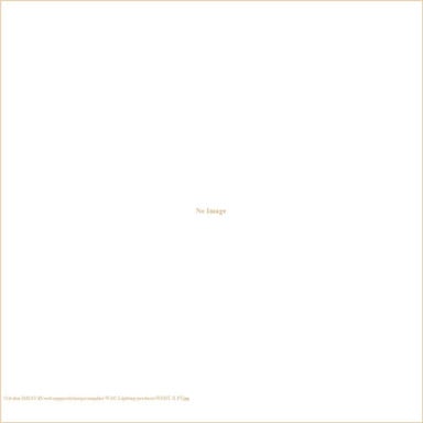 WMST-X48-PT | 