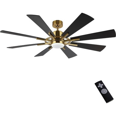 2595_AB8172 | Main Product Image