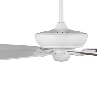 P250070-028 | detail