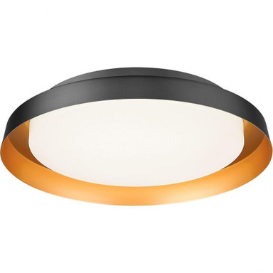 2498_M15601 | Main Product Image