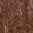 Chestnut