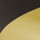 Black/Gold