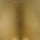 Champagne Bronze