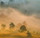Sunrise Mist