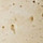 Travertine Oyster