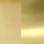 Satin Brass/Polished Brass