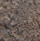 Dark Weathered Iron