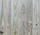 Washed Pine