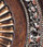 Belcaro Walnut