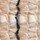Medium Beige