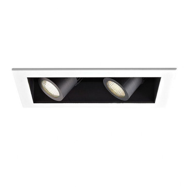 Precision Multiples 4 Inch Adjustable Spot 2 Light Housing by WAC - MT4L21